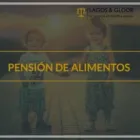La imagen 1 de la Empresa ABOGADA LAGOS GLOOR Abogado Indemnizaciones en Temuco AR