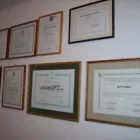 La imagen 3 de la Empresa ABOGADO DE OSORNO GONZALO NEIRA Tuición en Osorno LL