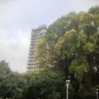 La imagen 5 de la Empresa ABOGADO DE OSORNO GONZALO NEIRA Tuición en Osorno LL