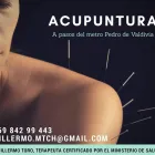 La imagen 1 de la Empresa ACUPUNTURA GUILLERMO TORO Acupuntura en Santiago RM