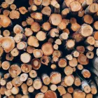 La imagen 3 de la Empresa ALBERTO KUSCH MADERAS VENTA PINO INSIGNE en Osorno LL