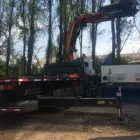 La imagen 3 de la Empresa ARRIENDO DE CAMIÓN PLUMA Y TRANSPORTES ARAYA SERVICIOS DE MONTAJES en Quinta Normal RM