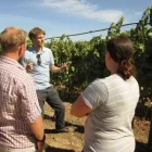 La imagen 1 de la Empresa BODEGA WINE TOURS Wine Tours & Tasting Chile en Santiago RM