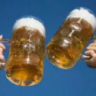 La imagen 2 de la Empresa BONOMINI DISTRIBUIDORA DE LICORES LTDA. VENTA DE LICOR POR MAYOR Y MENOR en Talcahuano BI