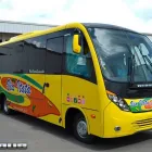 La imagen 1 de la Empresa BUSES AESEBUS Viajes Especiales en Chillan BI
