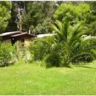 La imagen 5 de la Empresa CABAÑAS RUSTIK Cabaña en Quillota VS