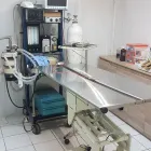 La imagen 1 de la Empresa CLÍNICA VETERINARIA DOGTOR Veterinarias A Domicilio en San Bernardo RM