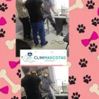 La imagen 2 de la Empresa CLINIMASCOTAS Veterinario en Cerrillos RM