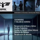 La imagen 2 de la Empresa DEPARTAMENTO DE INTELIGENCIA E INVESTIGACIONES PRIVADAS Y POLÍTICAS - DIIPPOL Vigilancia en Santiago RM
