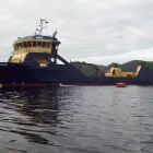 La imagen 1 de la Empresa DETROIT S.A. Tienda de repuestos para automóviles en Antofagasta AN