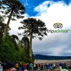 La imagen 7 de la Empresa ECO TOUR TERRA Vacaciones en Temuco AR