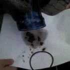 La imagen 9 de la Empresa ECOTECNOLOGIAS Sistema de Gestión del Combustible en Santiago RM