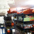 La imagen 5 de la Empresa ELECTRICIDAD FERNÁNDEZ PROYECTOS INDUSTRIALES DE ELECTRICIDAD en Calera VS