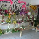 La imagen 2 de la Empresa FLOR Y ARTE Regalos en Talca ML