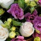 La imagen 1 de la Empresa FLORERIA LEON DI MATEO Florista en Providencia RM