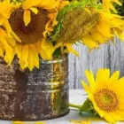 La imagen 3 de la Empresa FLORERIA LEON DI MATEO Florista en Providencia RM