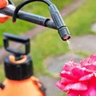 La imagen 2 de la Empresa FUMIZENTER LTDA. Servicio de control de plagas en Iquique TA