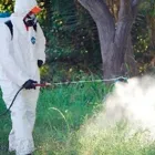 La imagen 3 de la Empresa FUMIZENTER LTDA. Servicio de control de plagas en Iquique TA