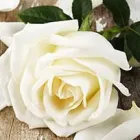 La imagen 1 de la Empresa FUNERARIA TIEMPO DE DIOS Velatorios en Maipú RM