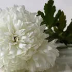 La imagen 3 de la Empresa FUNERARIA TIEMPO DE DIOS Velatorios en Maipú RM