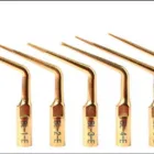 La imagen 3 de la Empresa GAC CHILE TRAINERS en Providencia RM