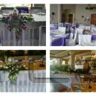 La imagen 2 de la Empresa GLOBOSMONICA Pilares en Viña del Mar VS