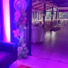 La imagen 3 de la Empresa GLOBOSMONICA Pilares en Viña del Mar VS