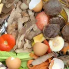 La imagen 1 de la Empresa LOMBRICES CALIFORNIANAS CHILE Venta de Lombrices Californianas en Santiago RM