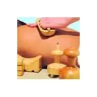 La imagen 2 de la Empresa MASAGIK Tratamientos Esteticos en Santiago RM