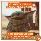 La imagen 5 de la Empresa MASCOTAS LOS ANDES SHAMPOO PARA MASCOTAS en Los Andes VS