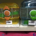 La imagen 6 de la Empresa MASCOTAS LOS ANDES SHAMPOO PARA MASCOTAS en Los Andes VS