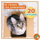 La imagen 8 de la Empresa MASCOTAS LOS ANDES SHAMPOO PARA MASCOTAS en Los Andes VS