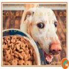 La imagen 9 de la Empresa MASCOTAS LOS ANDES SHAMPOO PARA MASCOTAS en Los Andes VS