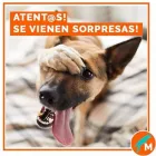 La imagen 10 de la Empresa MASCOTAS LOS ANDES SHAMPOO PARA MASCOTAS en Los Andes VS