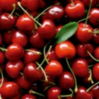 La imagen 5 de la Empresa OKFRUITAPP Servicios de control de calidad en Talca ML