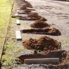 La imagen 2 de la Empresa OVALT Tienda de pinturas en Concepción BI