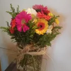 La imagen 2 de la Empresa PASIÓN Y FLOR Suculentas en Santiago RM