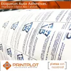 La imagen 3 de la Empresa PRINTPLOT Volantes en Iquique TA