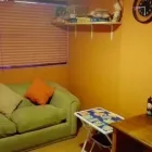 La imagen 2 de la Empresa PSICOPEDAGOGA EN PROVIDENCIA Trastornos del Aprendizaje en Providencia RM