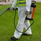 La imagen 2 de la Empresa RO & CA LTDA. Servicio de control de plagas en Punta Arenas MA