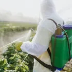 La imagen 3 de la Empresa RO & CA LTDA. Servicio de control de plagas en Punta Arenas MA