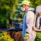 La imagen 4 de la Empresa RO & CA LTDA. Servicio de control de plagas en Punta Arenas MA