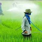 La imagen 5 de la Empresa RO & CA LTDA. Servicio de control de plagas en Punta Arenas MA