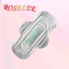 La imagen 1 de la Empresa ROSELEE SANITARY NAPKIN MANUFACTURING COMPAN Maquinarias en Santiago RM