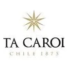 La imagen 6 de la Empresa RSC Trabajo en Equipo y Liderazgo en Santiago RM