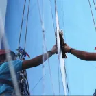 La imagen 2 de la Empresa SERVICHILE LTDA VENTA DE IMPLEMENTO ASEO INDUSTRIAL en Concepción BI