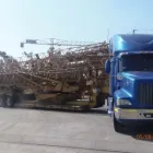 La imagen 1 de la Empresa SETREX LTDA Zorras en Santiago RM