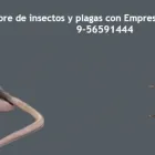 La imagen 1 de la Empresa SOCIEDAD COMERCIAL RATATUIN LTA Servicio de control de plagas en Puerto Montt LL