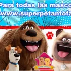 La imagen 3 de la Empresa SUPER PET Tienda de suministros para mascotas en Antofagasta AN