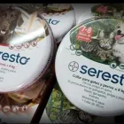 La imagen 12 de la Empresa SUPER PET Tienda de suministros para mascotas en Antofagasta AN